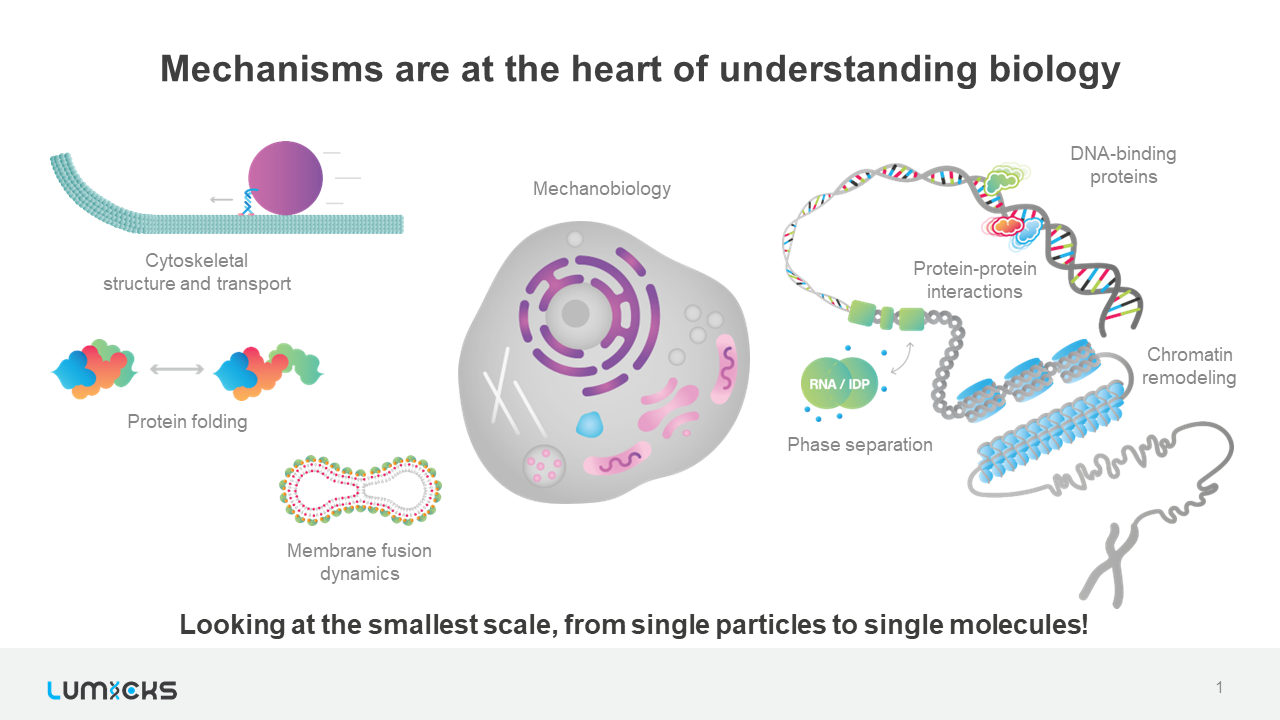 Mechanisms are at the heart of understanding biology